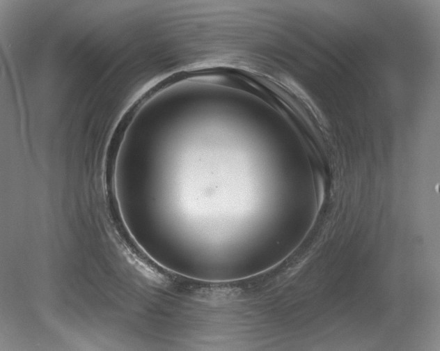 X0000079290884200611171048