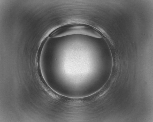 X0000079290885200611171048