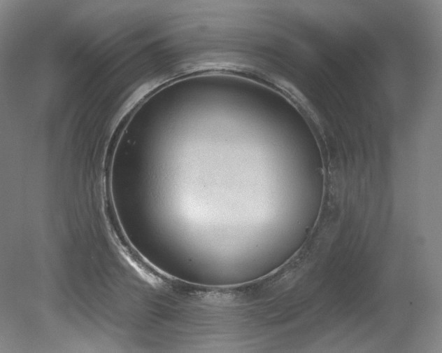X0000079290890200611171048