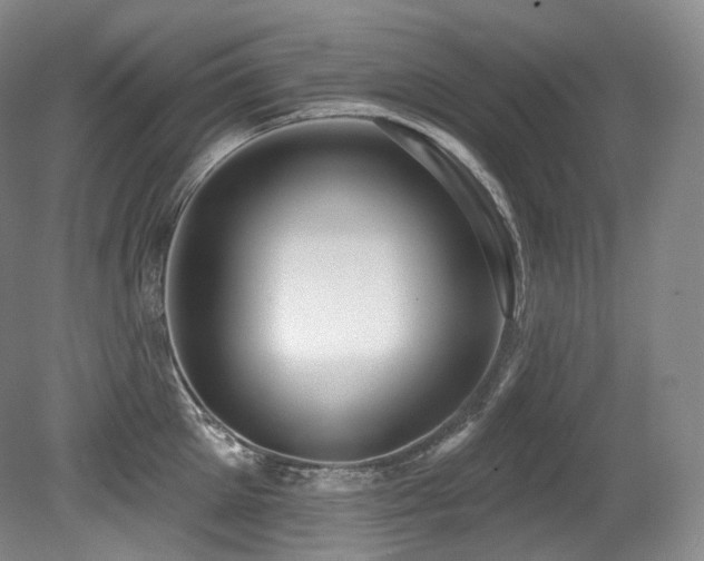 X0000079290905200611171048