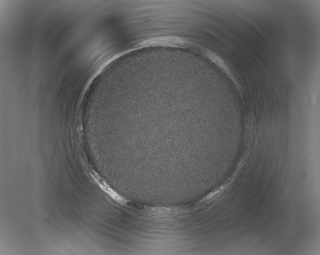 X0000079290923200611171047