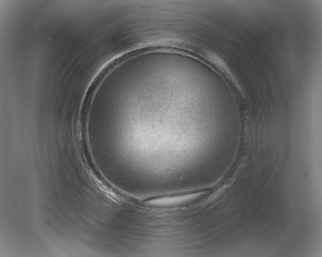 X0000079290924200611171047