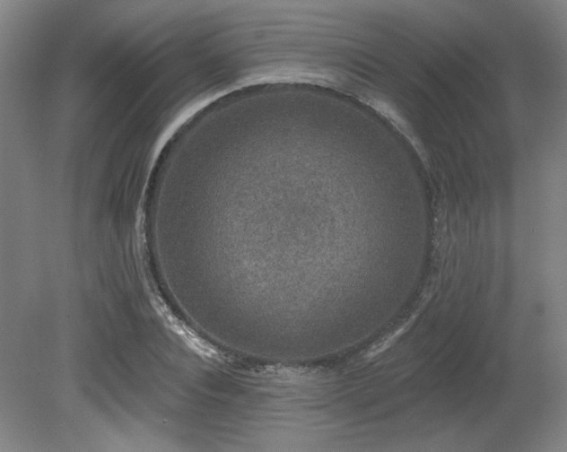 X0000079290928200611171047