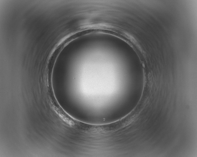 X0000079290931200611171047