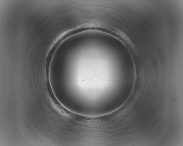 X0000079290934200611171047