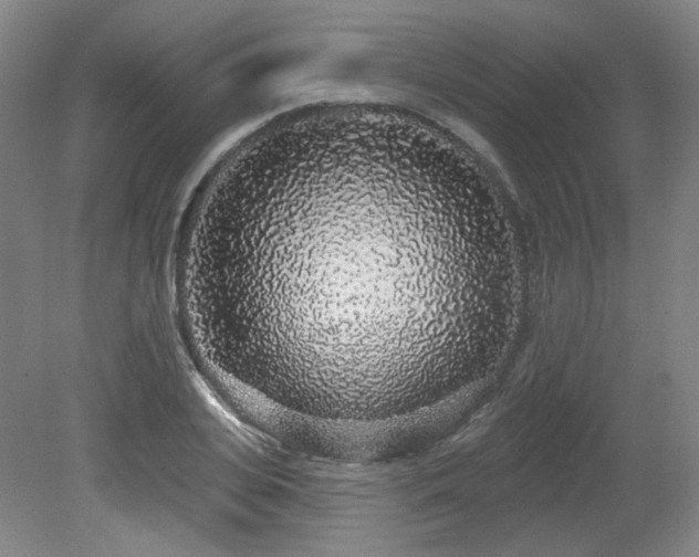 X0000079290935200611171047