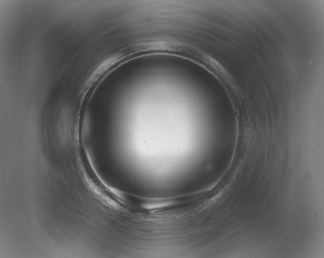 X0000079290938200611171047