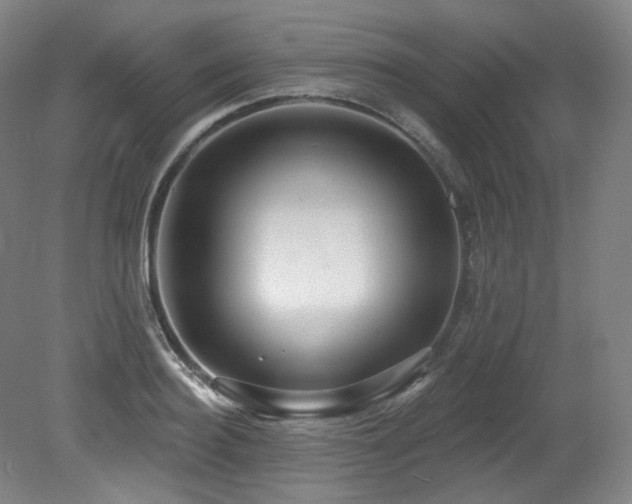 X0000079290940200611171047
