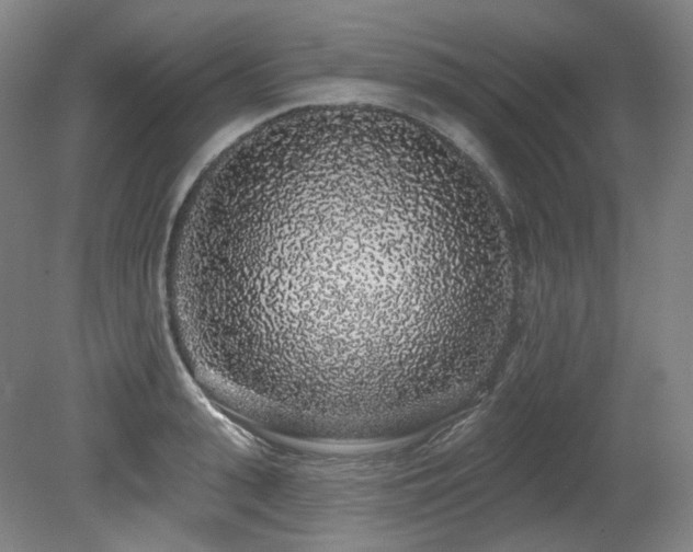 X0000079290943200611171048