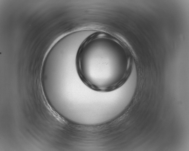 X0000079290948200611171048