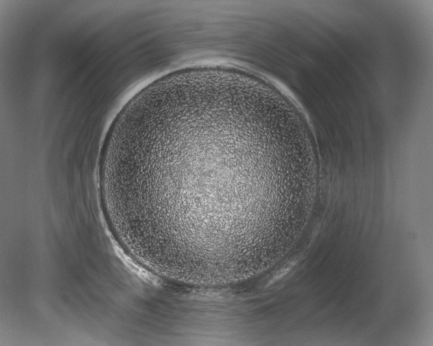 X0000079290951200611171048