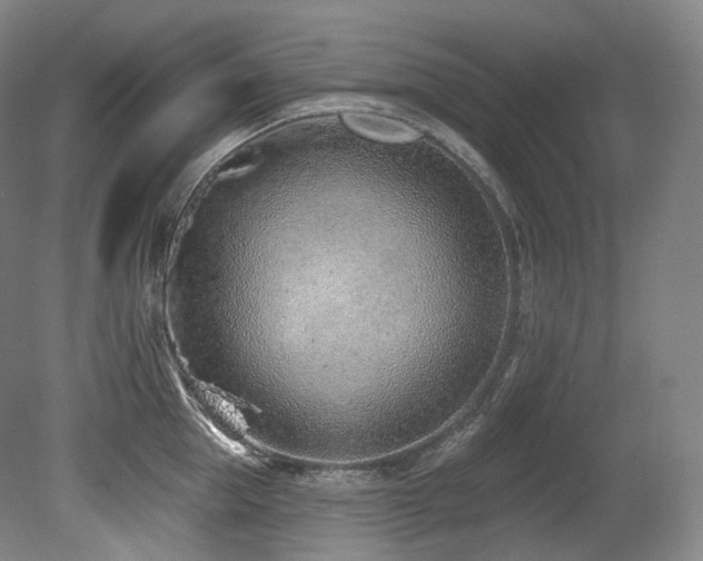 X0000079290953200611171048