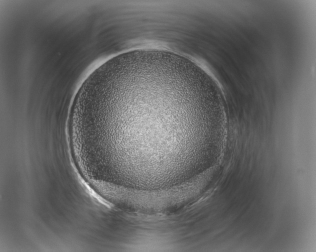 X0000079290959200611171048