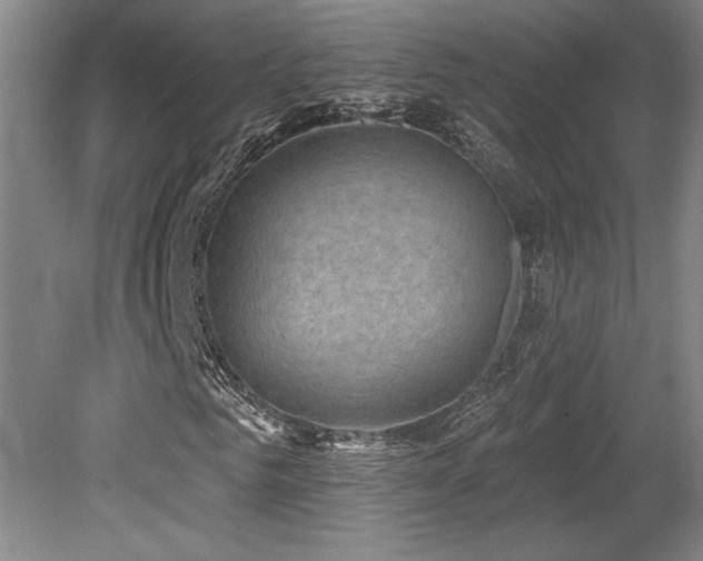 X0000079290961200611171047