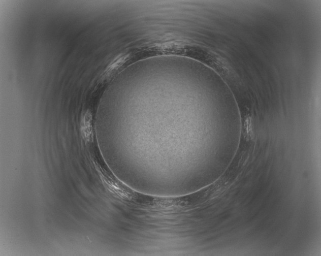 X0000079290963200611171047