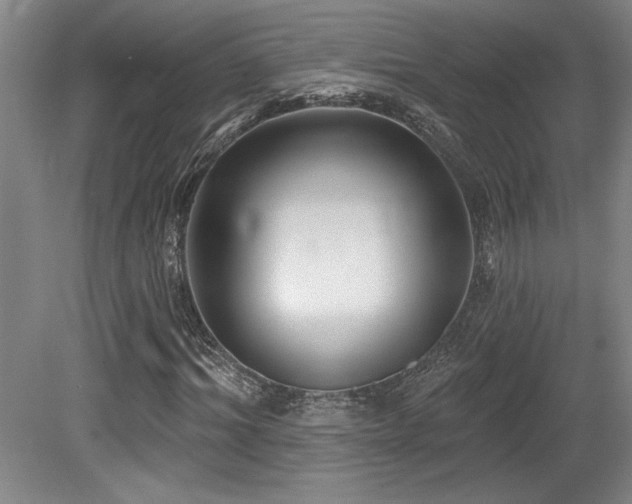 X0000079290964200611171047