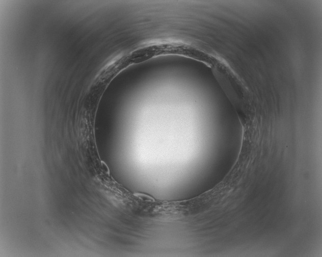 X0000079290967200611171047
