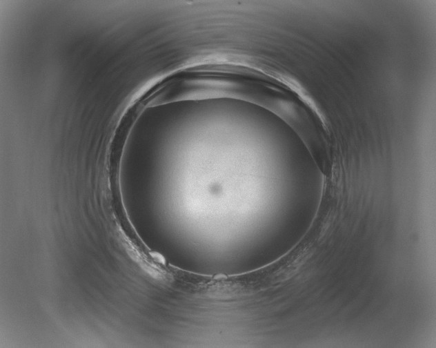 X0000079290972200611171047