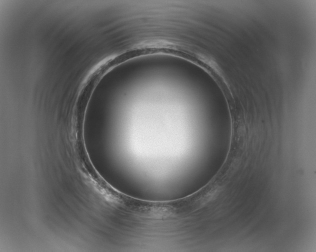 X0000079290979200611171047