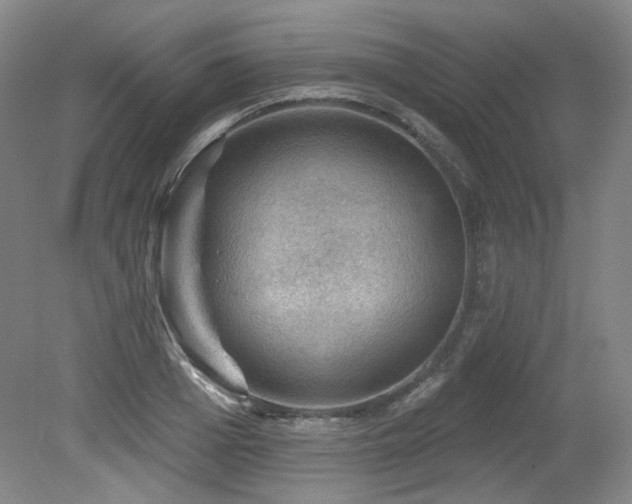 X0000079290985200611171047