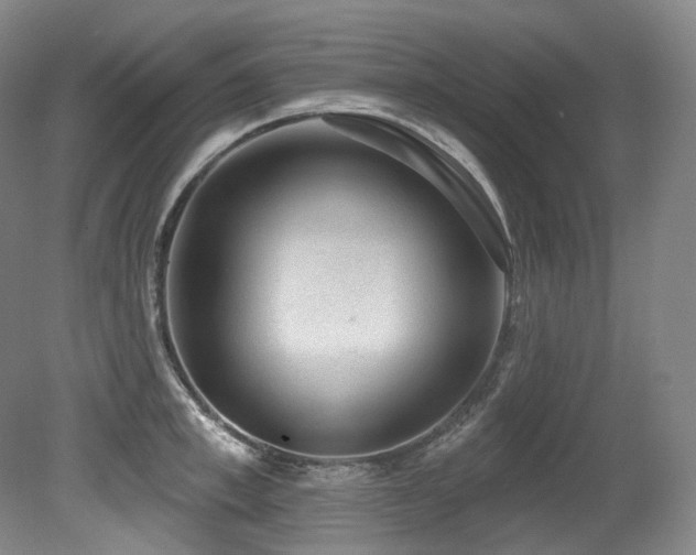 X0000079290997200611171046