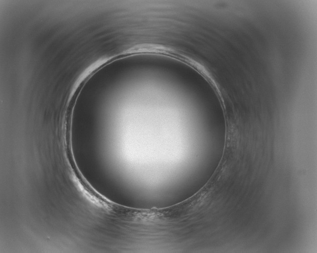 X0000079291003200611171046