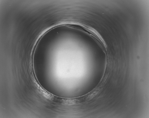 X0000079291004200611171046
