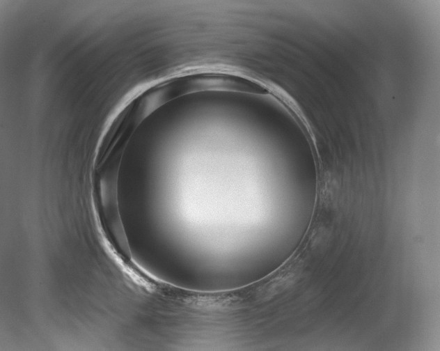 X0000079291005200611171046