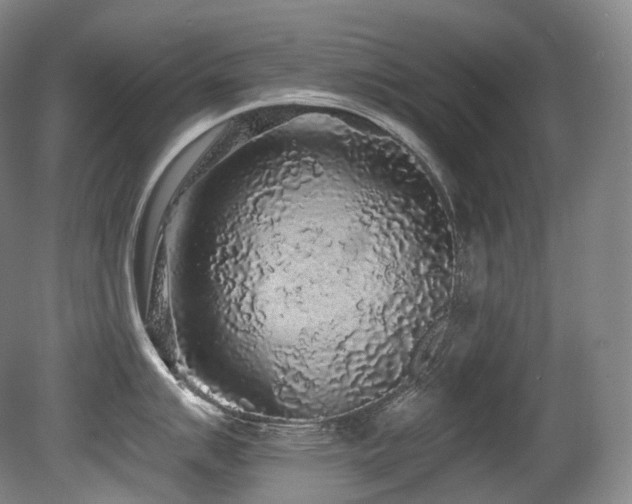 X0000079291007200611171046