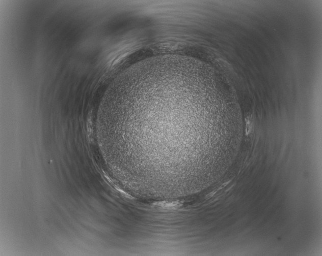 X0000079291011200611171045