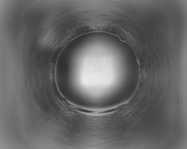 X0000079291012200611171045