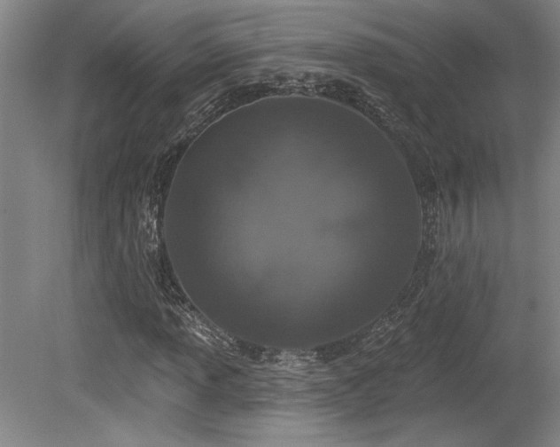 X0000079291013200611171045