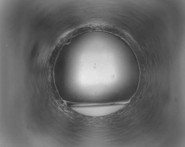 X0000079291016200611171046