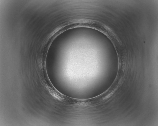X0000079291017200611171046
