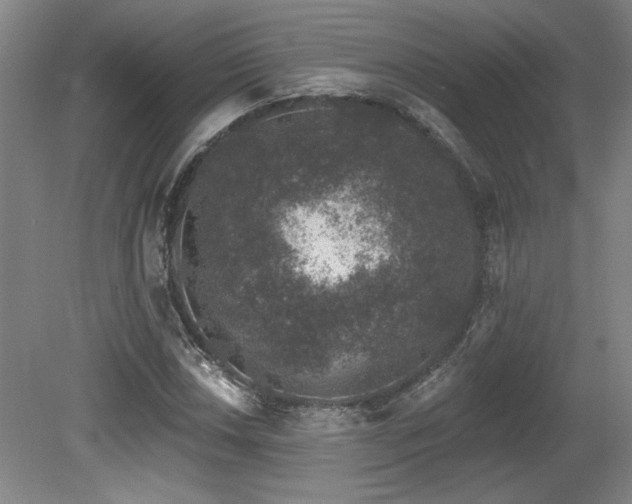 X0000079291018200611171046