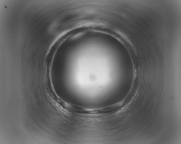 X0000079291021200611171046