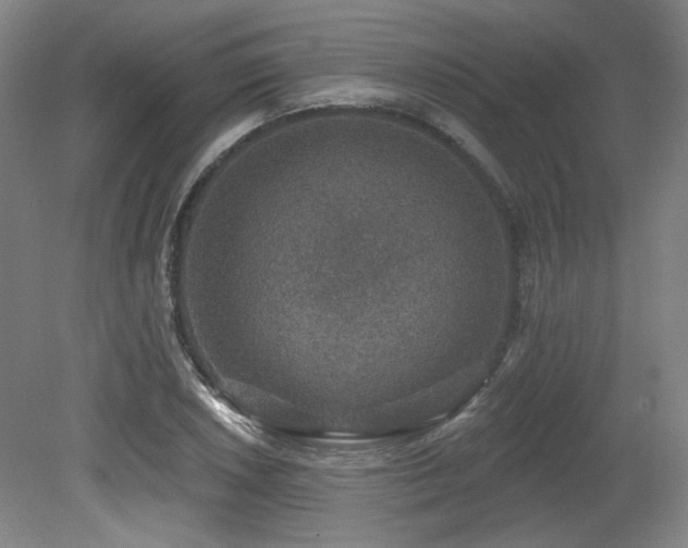 X0000079291026200611171046