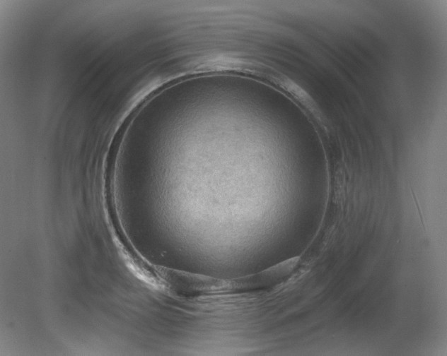 X0000079291039200611171046