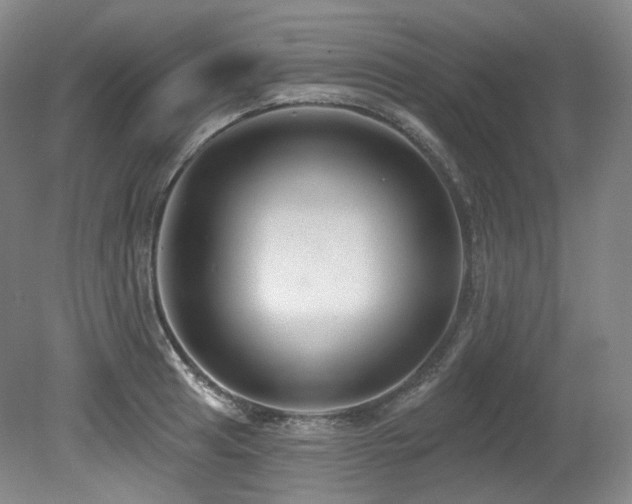X0000079291041200611171046