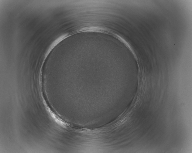 X0000079291050200611171046