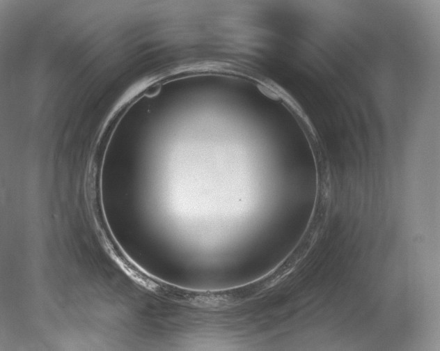 X0000079291053200611171046