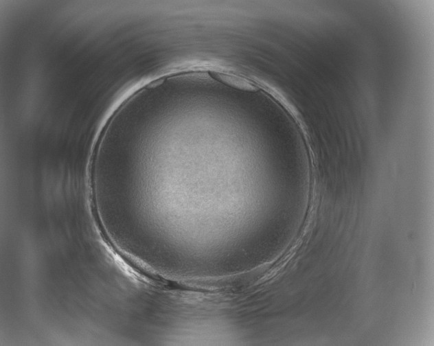 X0000079291056200611171046