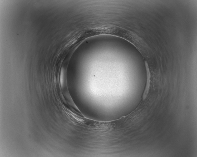 X0000079291058200611171045
