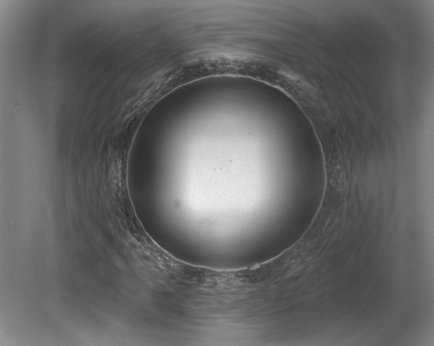 X0000079291061200611171045