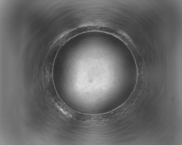X0000079291064200611171045