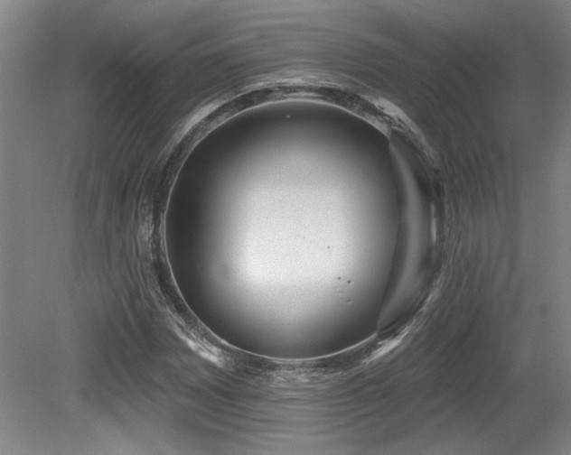 X0000079291065200611171045