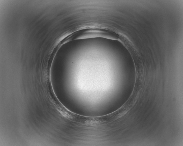 X0000079291073200611171045