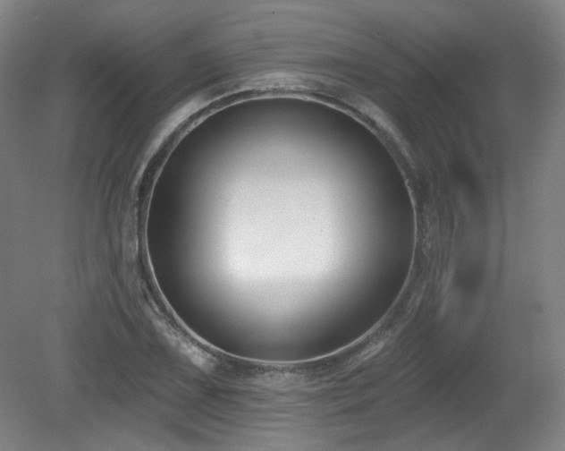 X0000079291075200611171045