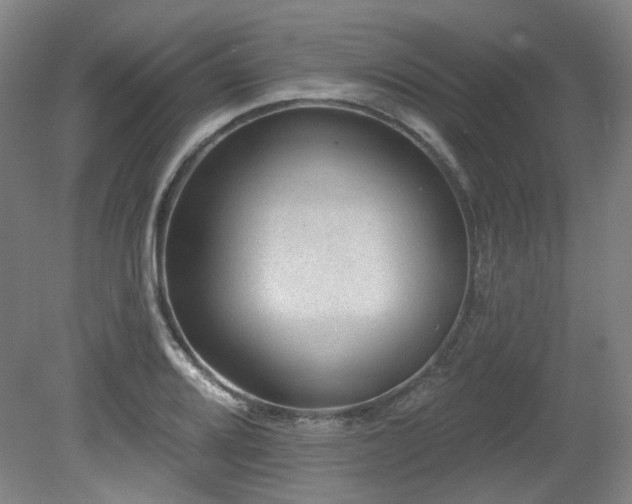 X0000079291080200611171045