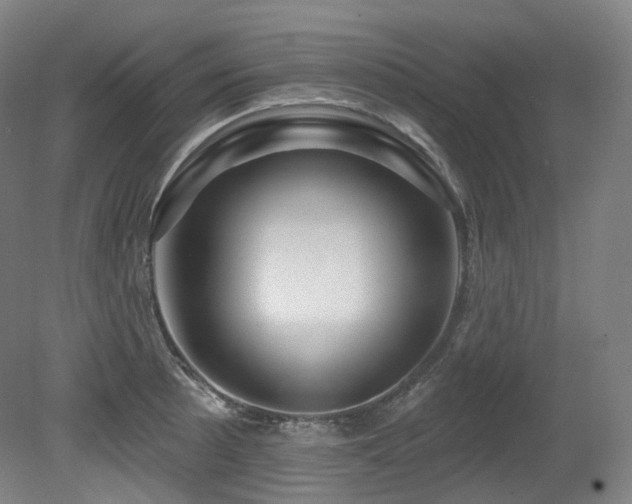 X0000079291089200611171045